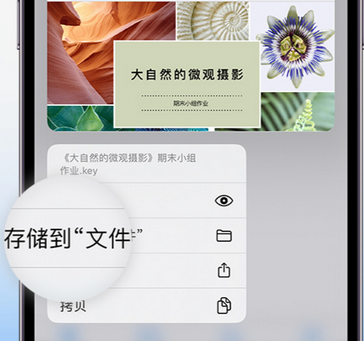 雨山apple维修中心分享iPhone文件应用中存储和找到下载文件