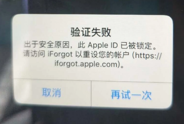 雨山iPhone维修分享iPhone上正常登录或使用AppleID怎么办 