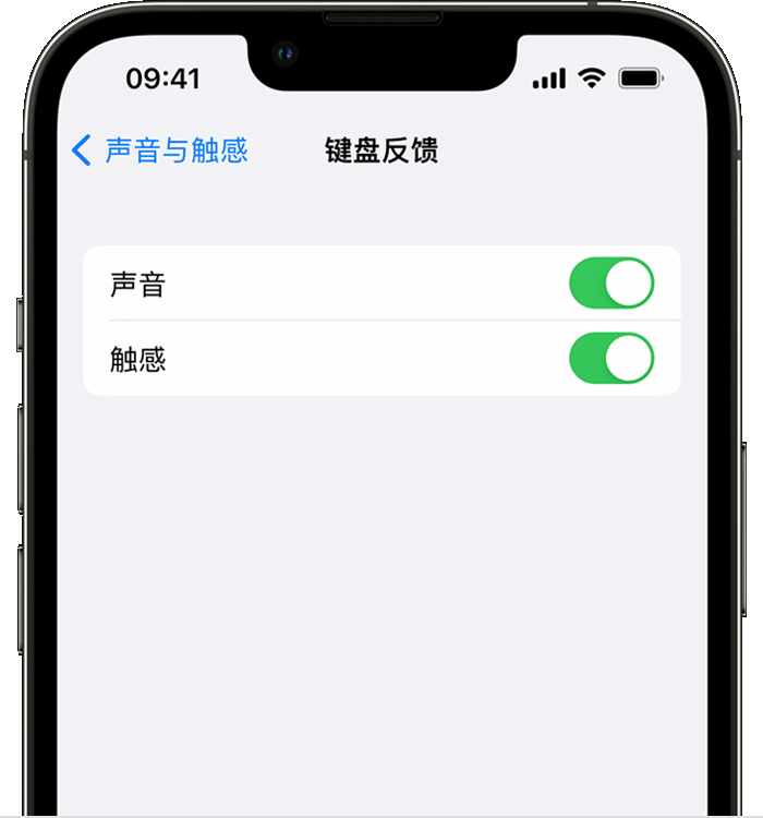 雨山苹果14维修店分享如何在 iPhone 14 机型中使用触感键盘 