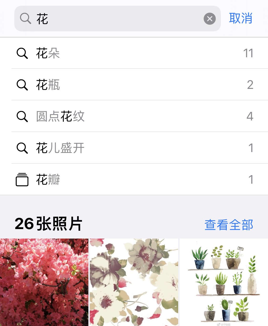 雨山苹果手机维修分享iPhone 小技巧 