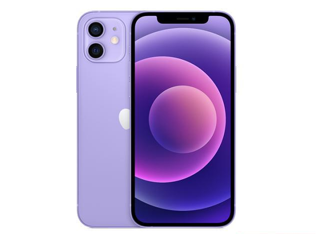 雨山苹果手机维修分享现阶段要不要入手紫色版iPhone12 