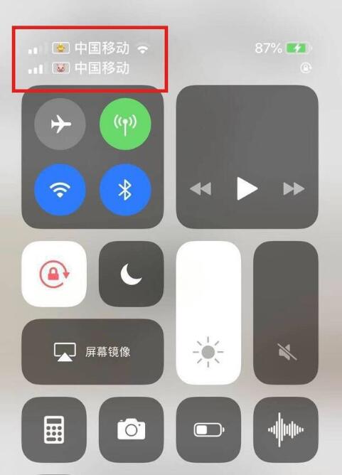 雨山苹果手机维修分享为 iPhone 12 双卡设置标签 