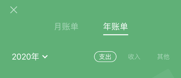 雨山苹果手机维修分享如何在 iPhone 上查看支付宝和微信年支出账单 